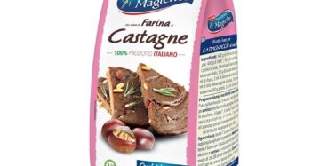 FARINA DI CASTAGNE 400G - FARINE MAGICHE