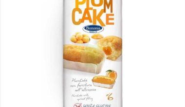 PLUMCAKE ALBICOCCA 270G (6X45) - BONONIA